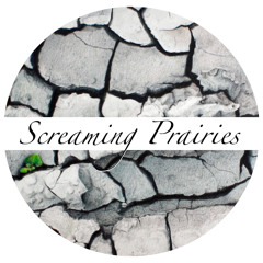 Screaming Prairies