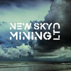 New Sky Mining Ltd