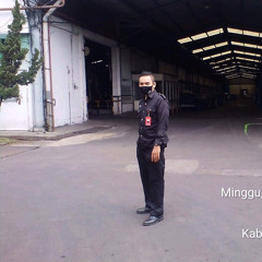 edi s