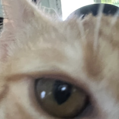 hugodieddecember