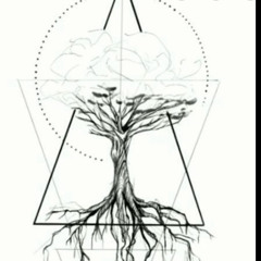 Lodinha Shoux