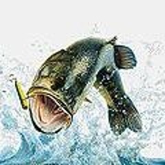 hello world 1234 test ﷺ▒▲₨۞ڪֆ֎④Ꚛ▓ыწٰ尵尵珠珠逼﹁鷧♵