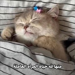 Nada B.Hazem🤍🌸