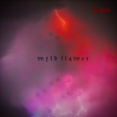 vvxldflqvver