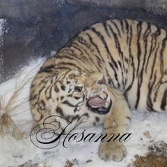hosanna