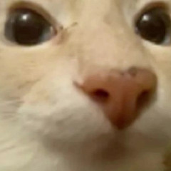 спокойствие