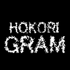 HOKORIGRAM
