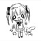 ? am I invisible 2u ?