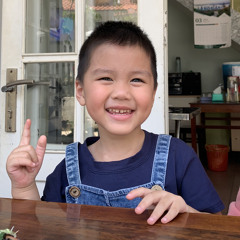Việt Tiến Mix