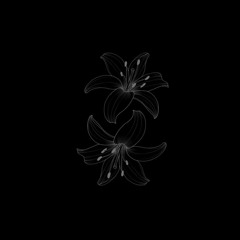 RYLVX
