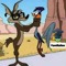 coyote