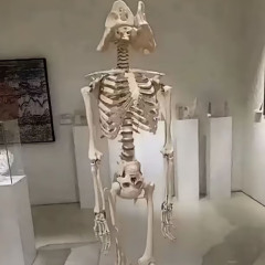VANTA