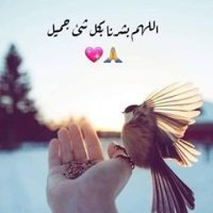 يوسف الصديق