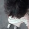 mindienn🐼🎧