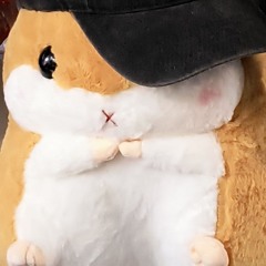 kitoboy