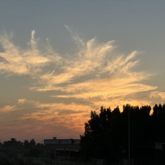 _nlhs8