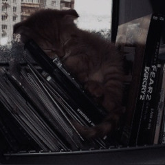 •¥*𝕬𝖗𝖎 𝖂𝖎𝖉𝖗𝖎𝖈𝖐*¥•