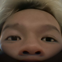 Hoàng long