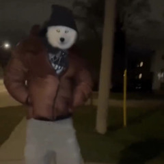 Bepis