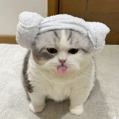 bủm bủm