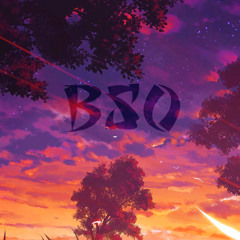 BSo