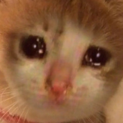 bebe