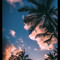 User 296581708