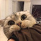 LamZy.malyz