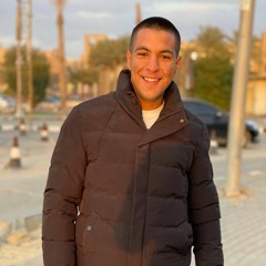 seif Elaraby