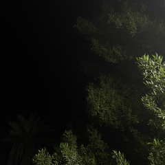 وِ|🌑🌿
