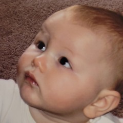 noah vanhook