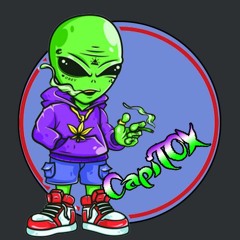 CapiTOX