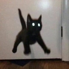 void eyes