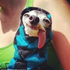 Ｂ E Ｏ Ｗ Ｕ L F - Today Is A Gift (edit)