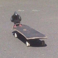 Vxlt™