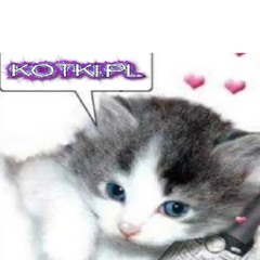 kotki.pl