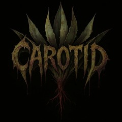 CAROTID