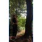 Sarah_lume