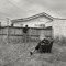 jack blackman