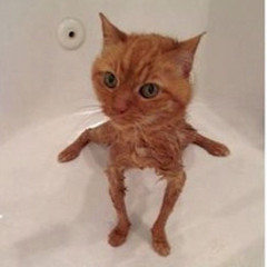 :)