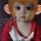 Norbu Dendup