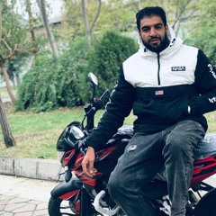 AmirTiger