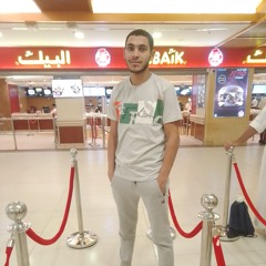 حسام العربي