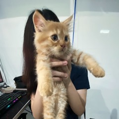 long ngân