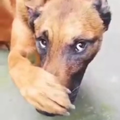 coke is cool enough.