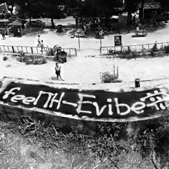 feelTH-Evibe