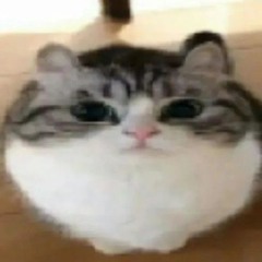Cookieちゃん