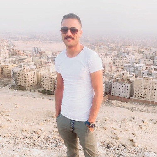 Mhamed Elghol’s avatar