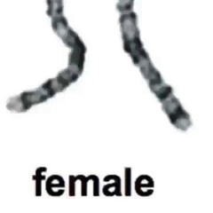 ол