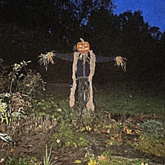 SCARECRAW